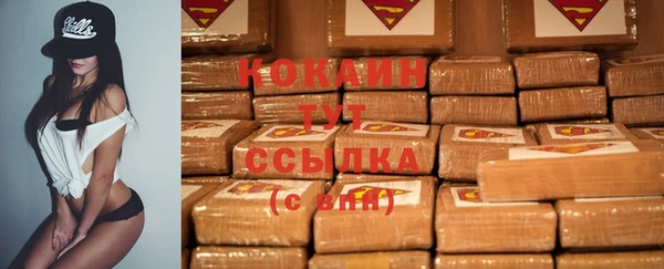 тгк Алзамай