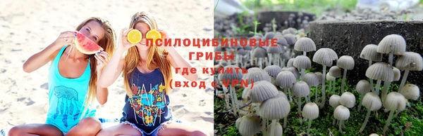 тгк Алзамай
